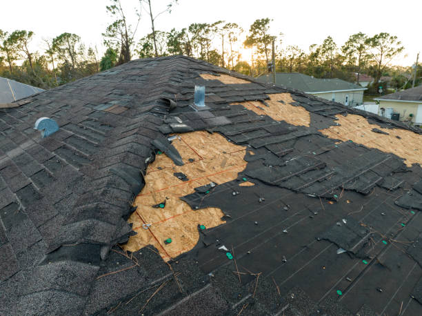 Best Solar Panel Roofing Installation  in Joseph, OR